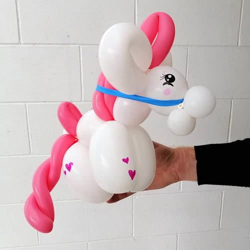 Balloon Twister Pukekohe, Franklin & South Auckland