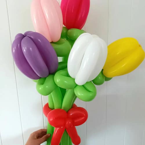Balloon Twister Pukekohe, Franklin & South Auckland