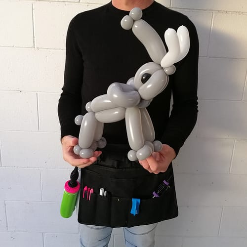 Balloon Twister Pukekohe, Franklin & South Auckland